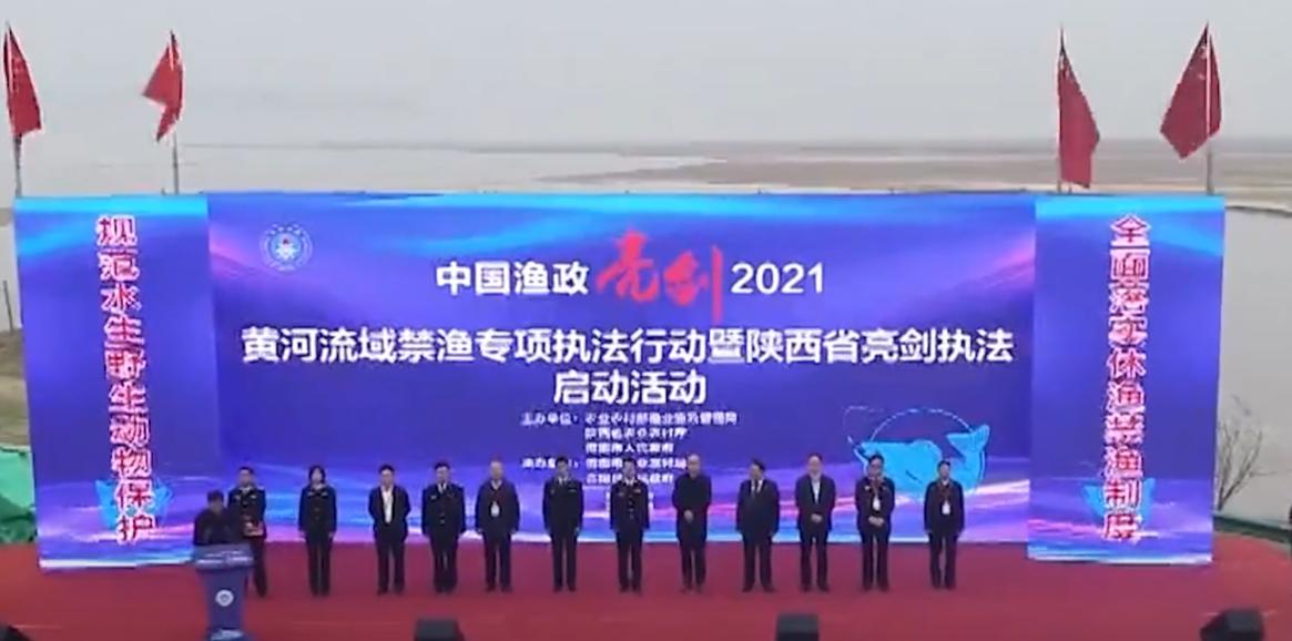 为什么黄河鲤鱼不能吃,黄河鲤鱼为啥出名