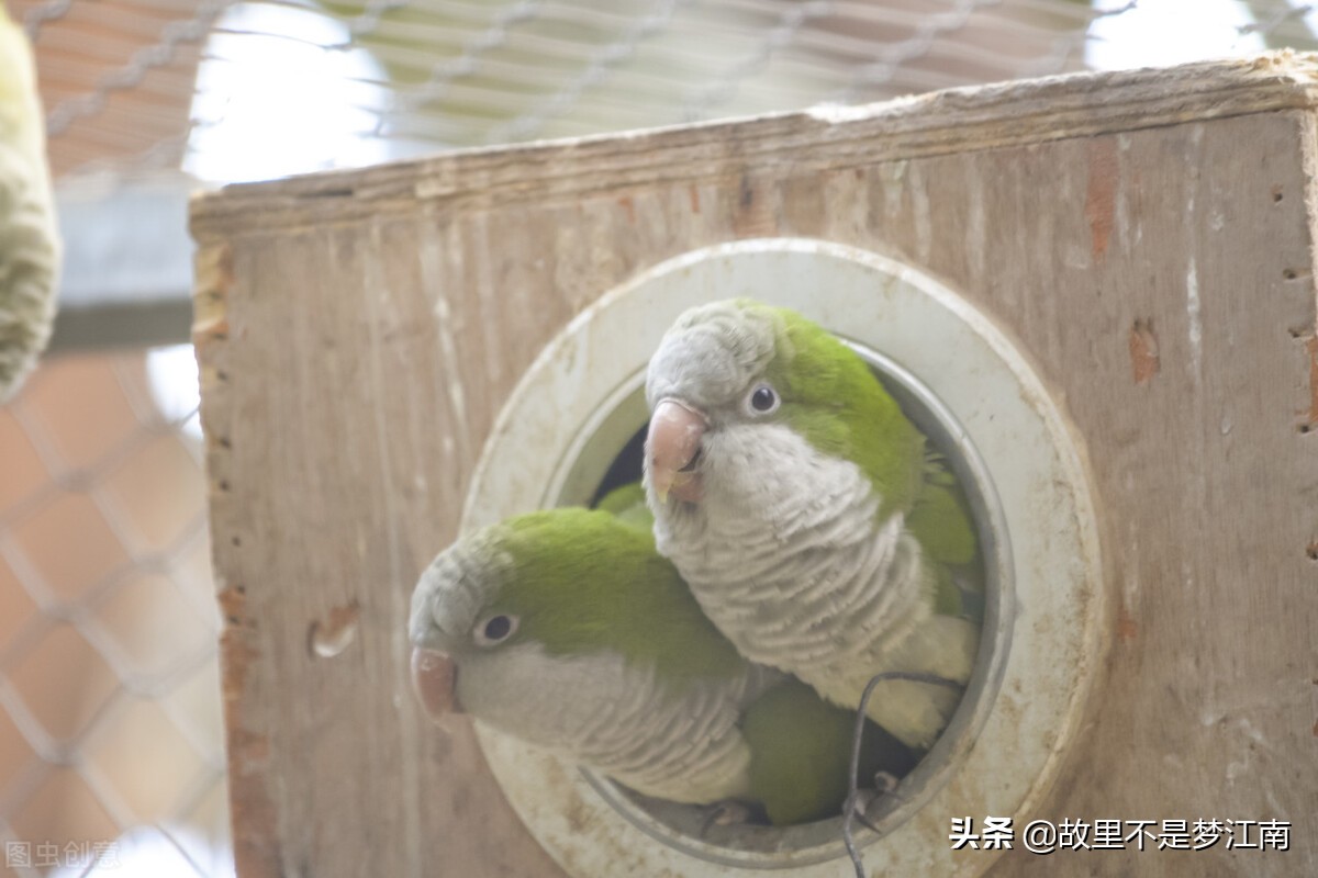 百鸟园儿童乐园,百鸟公园儿童乐园