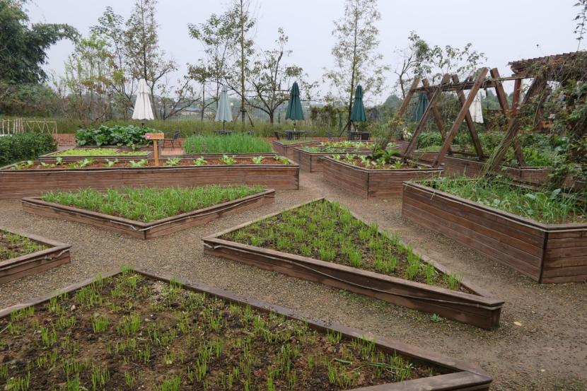 50亩以内的小农场如何盈利,搞一个5亩的小农场要投资多少钱