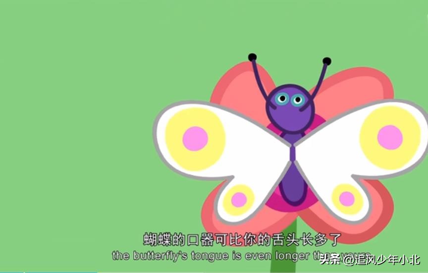 跟小猪佩奇学英语台词剧本,小猪佩奇英文剧本简单版