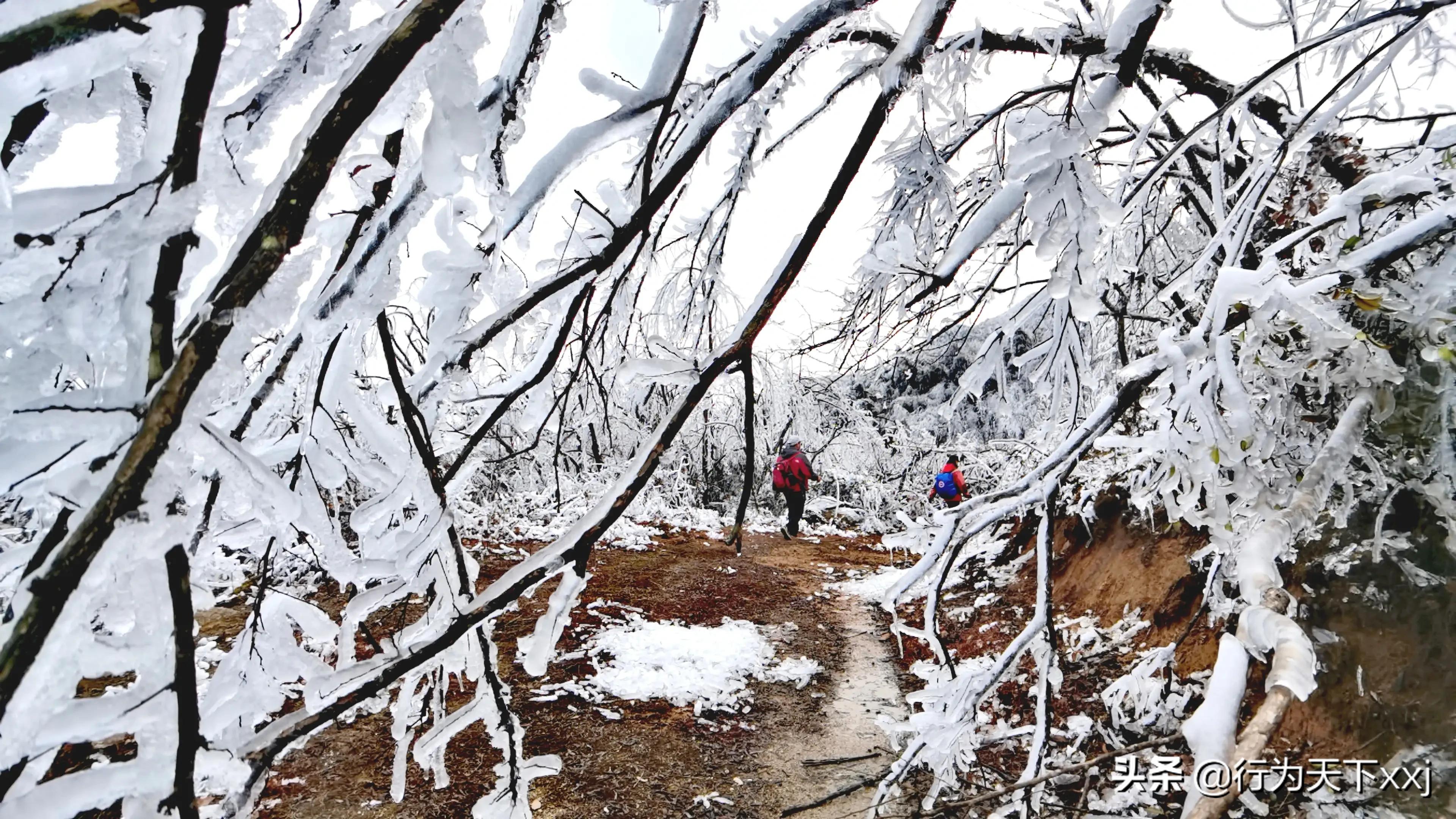 回忆红军长征走过的路,忆红军万里长征