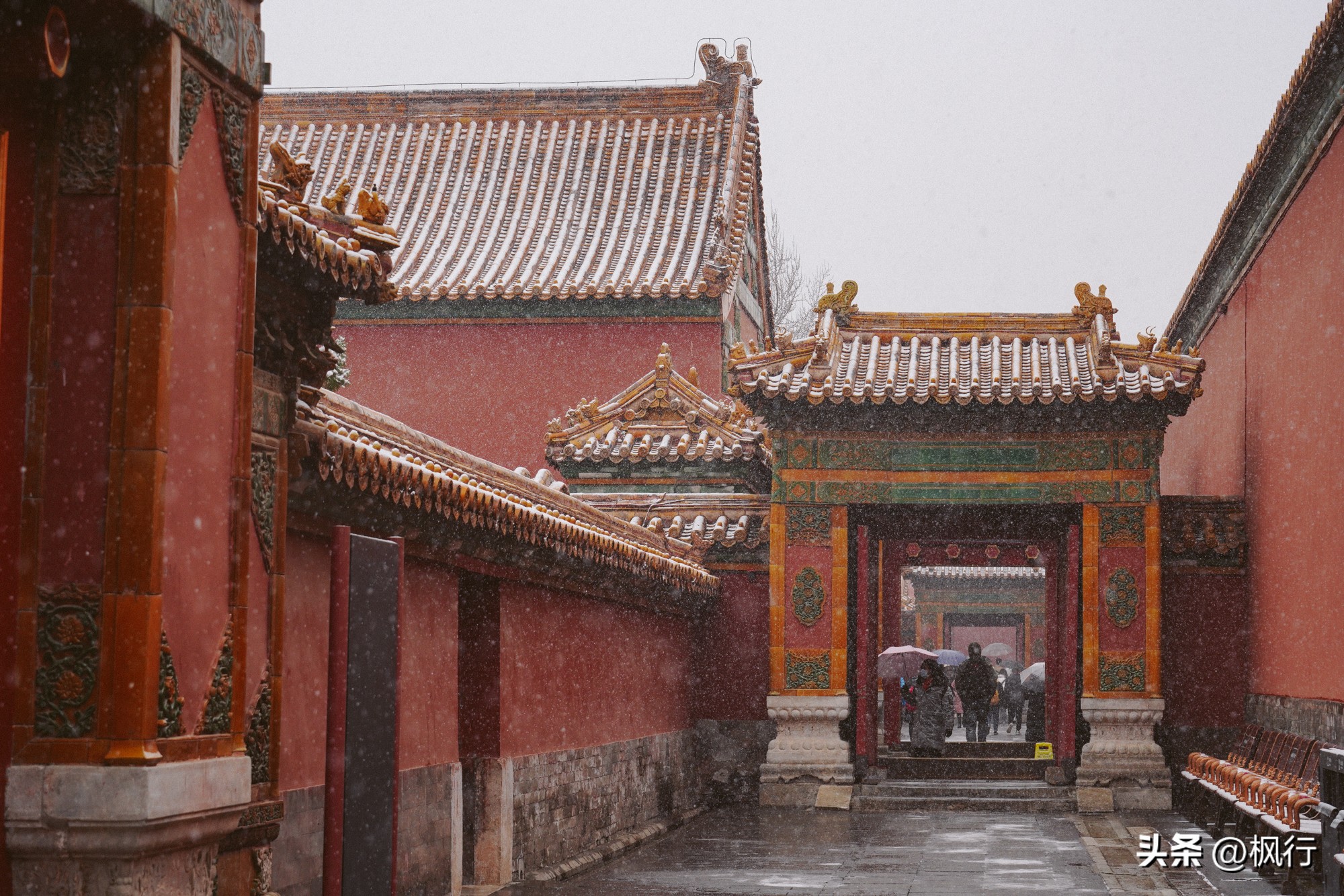 故宫开启雪景模式北京迎今冬初雪,北京下雪去哪里看故宫最好看