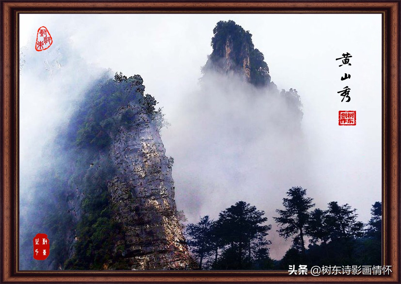 大雪压青松，青松挺且直，松在中华文化中象征着一种精神