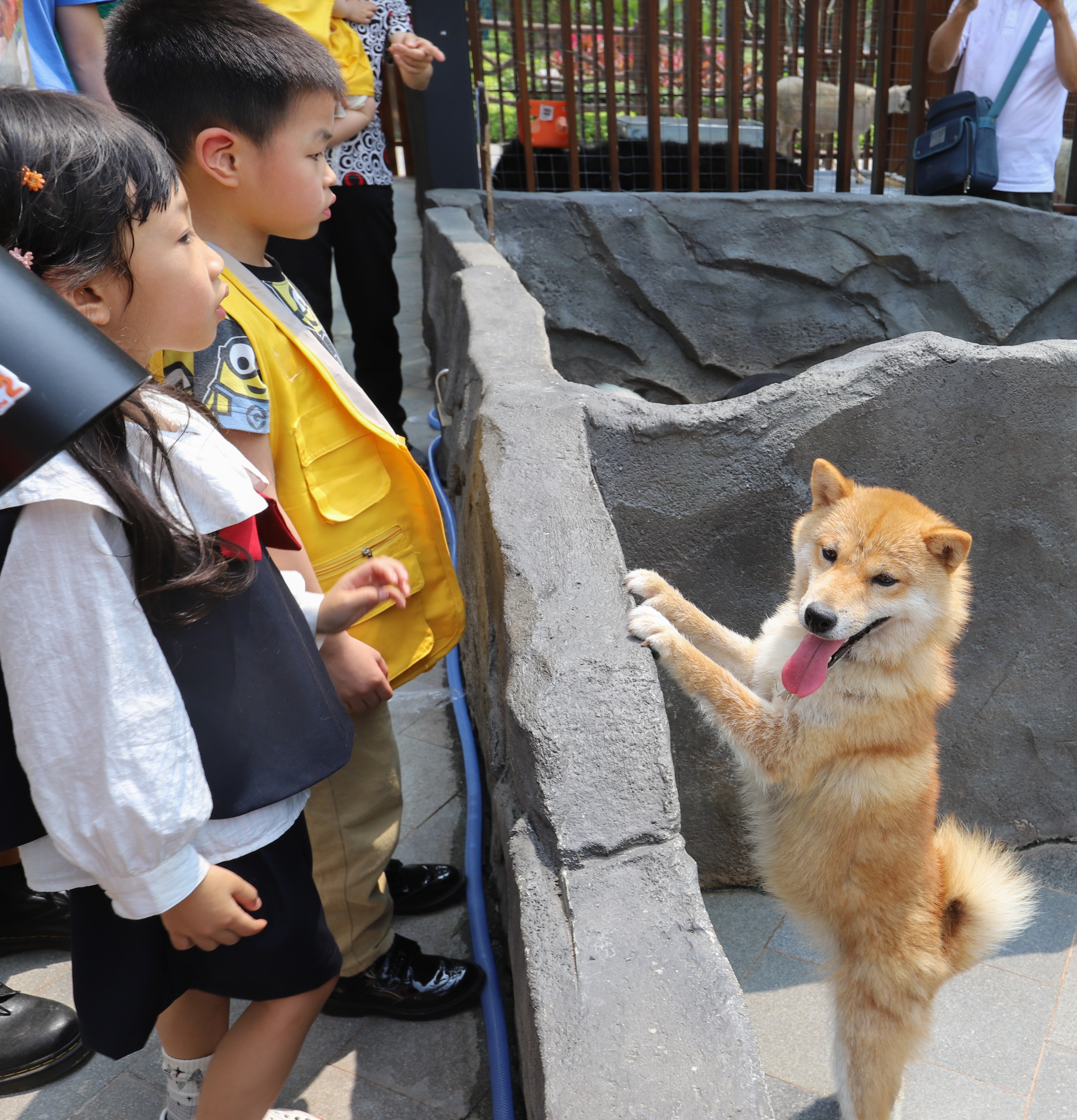 寻觅不一样的周末亲子时光打卡地,马丁叔叔的农场套餐
