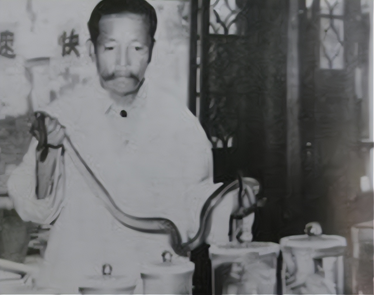 民间毒蛇咬伤特效药,江苏民间医生以毒蛇试毒炼成秘药