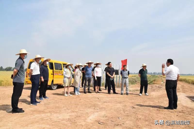 党支部领办合作社如何更好运转,党支部领办合作社亮点