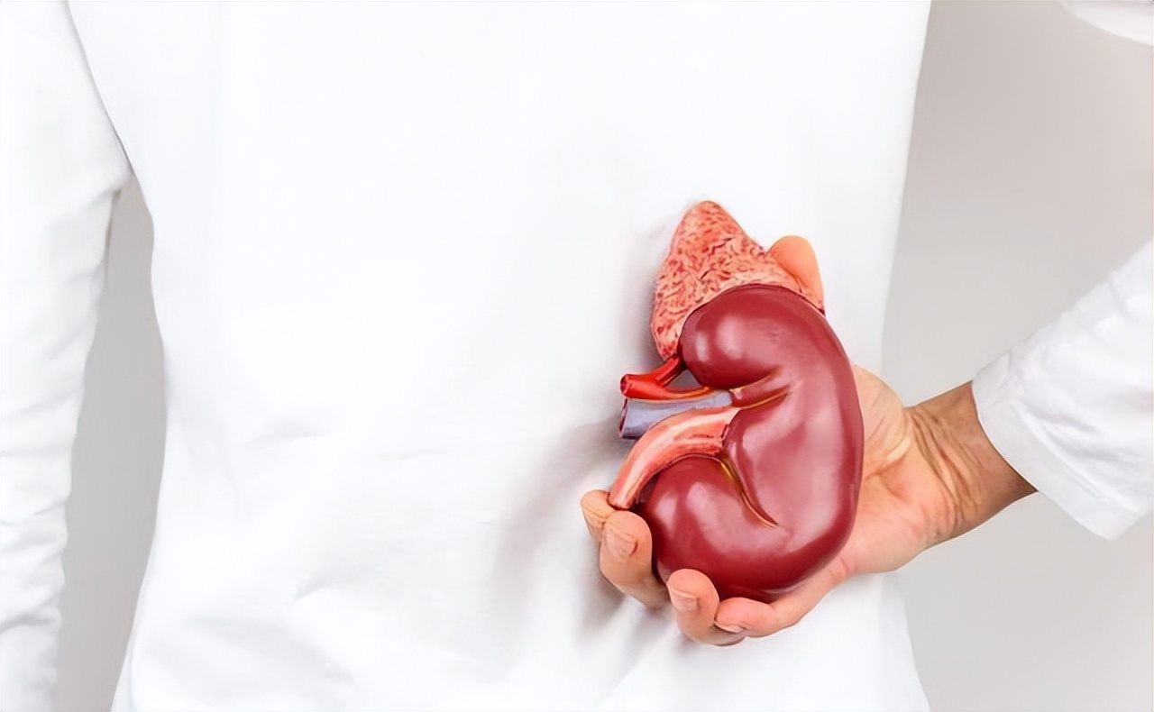 精神一紧张就想上厕所怎么回事,坐车紧张焦虑要上厕所怎么办