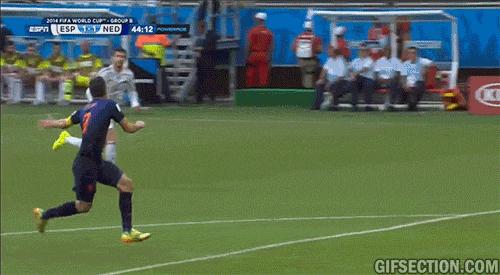 世界杯的遗憾乒乓球,2014年巴西世界杯荷兰vs西班牙