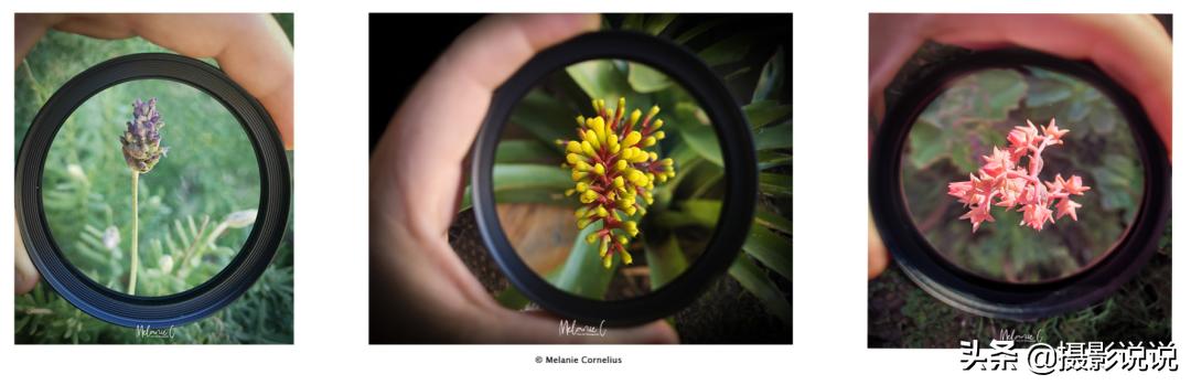 nisi近摄镜评测定焦,nisi测评