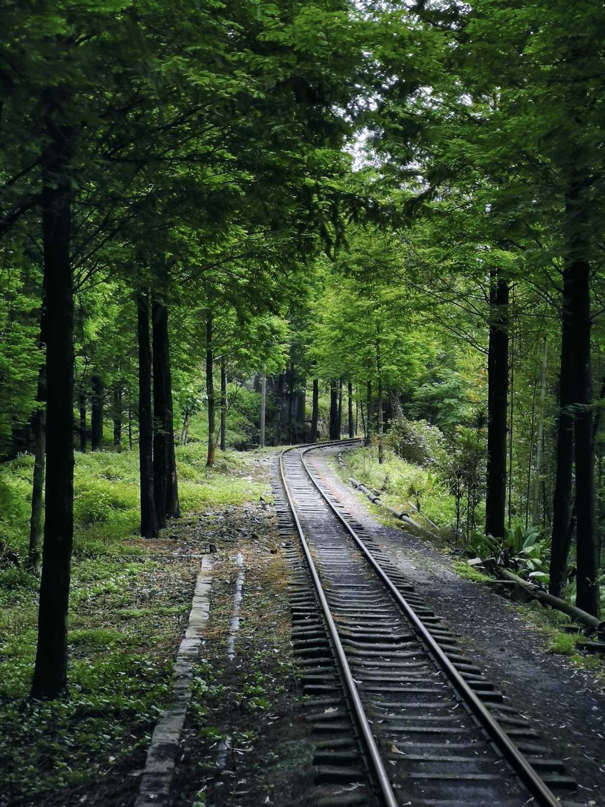 乐山异国风情打卡新去处,乐山游玩攻略及人文风情