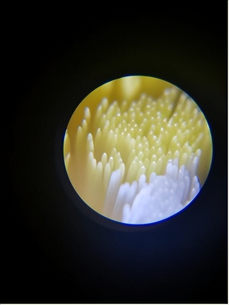 儿童电动牙刷推荐排行榜飞利浦,欧乐b和usmile儿童电动牙刷哪个好