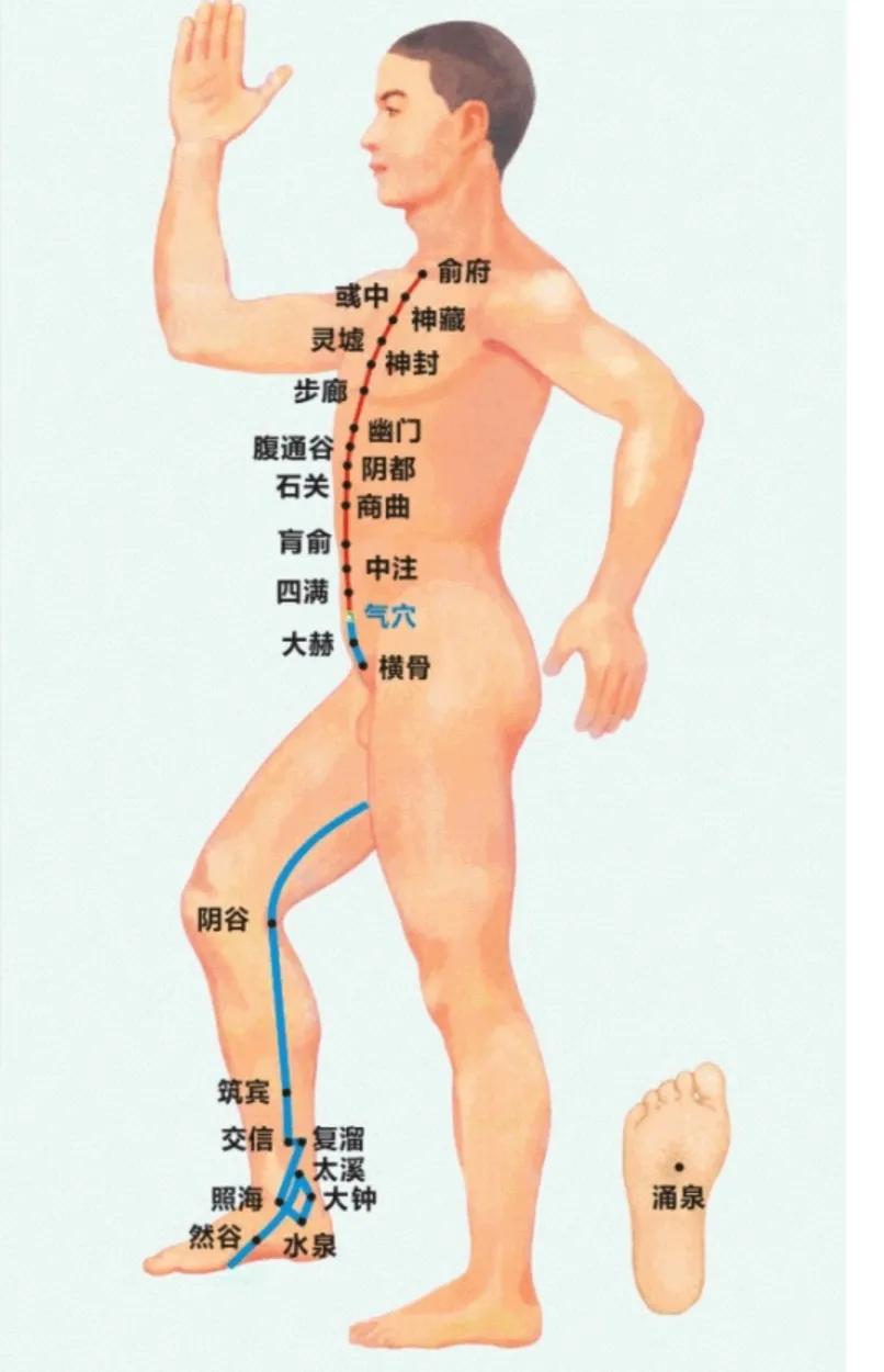 踝关节松驰一定会磨坏软骨吗,踝关节僵硬多久就锻炼不回来了