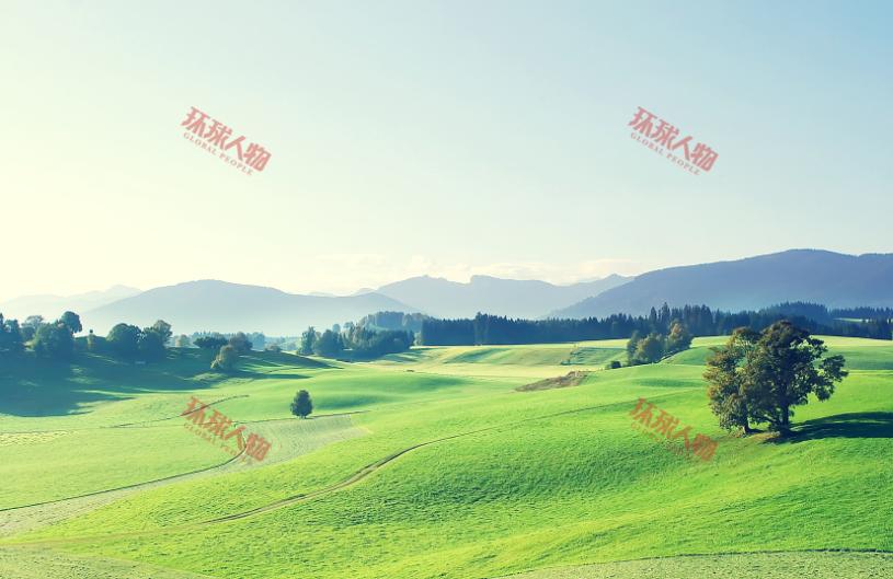 怎么给图片加水印的方法,怎么给图片加水印美图秀秀