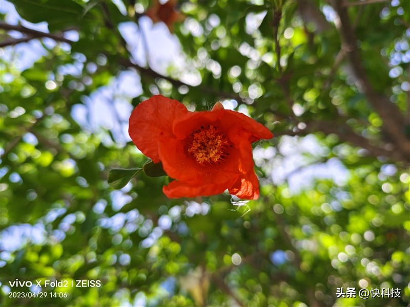 vivoxfold2人像方面评测,vivoxfold2为什么叫全能旗舰
