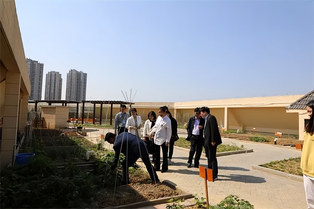 教育部专家点赞！合肥168*瑰园玫**学校“智慧教育”绽风采