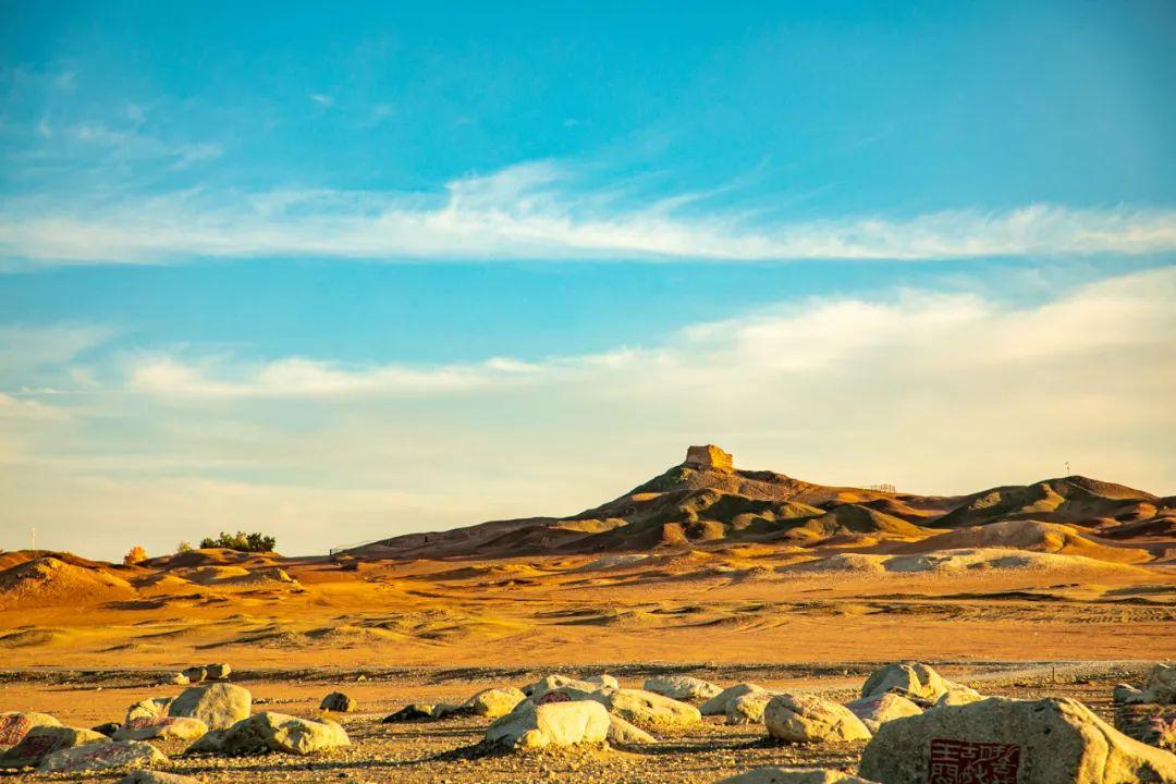 我愿和你一起奔赴理想和未来,我愿背上行囊随你去远方