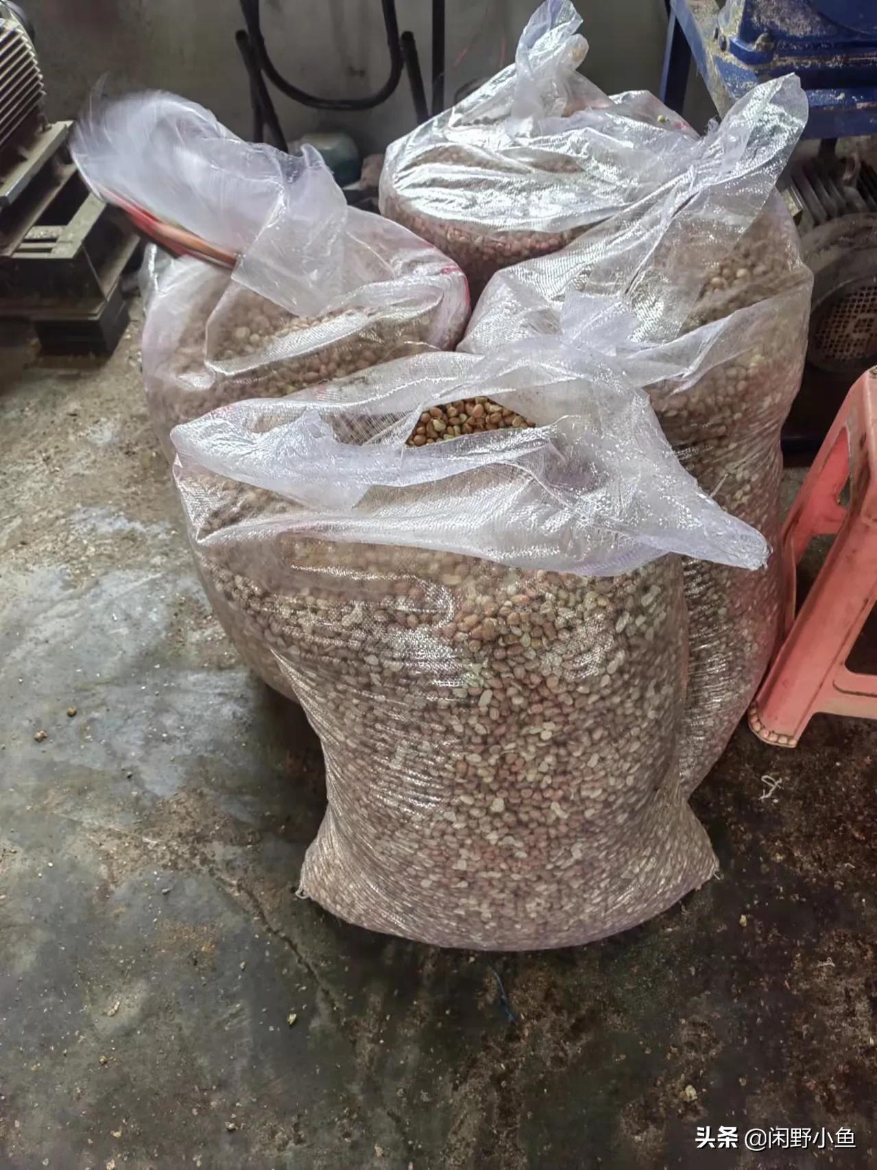 童年的味道你感觉到了吗,童年的味道真的很香吗