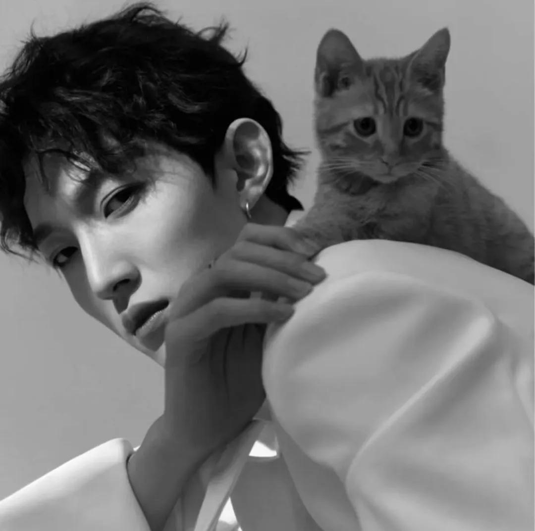 超好看的男生头像,超好看的男生头像漫画