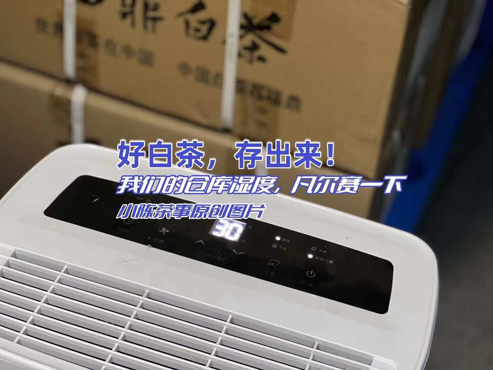 红茶绿茶白茶泡茶温度,红茶绿茶白茶常识知识