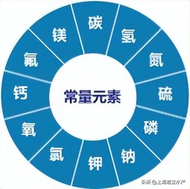 虾塘出现大量死藻怎么办,养虾吹东风倒藻咋处理