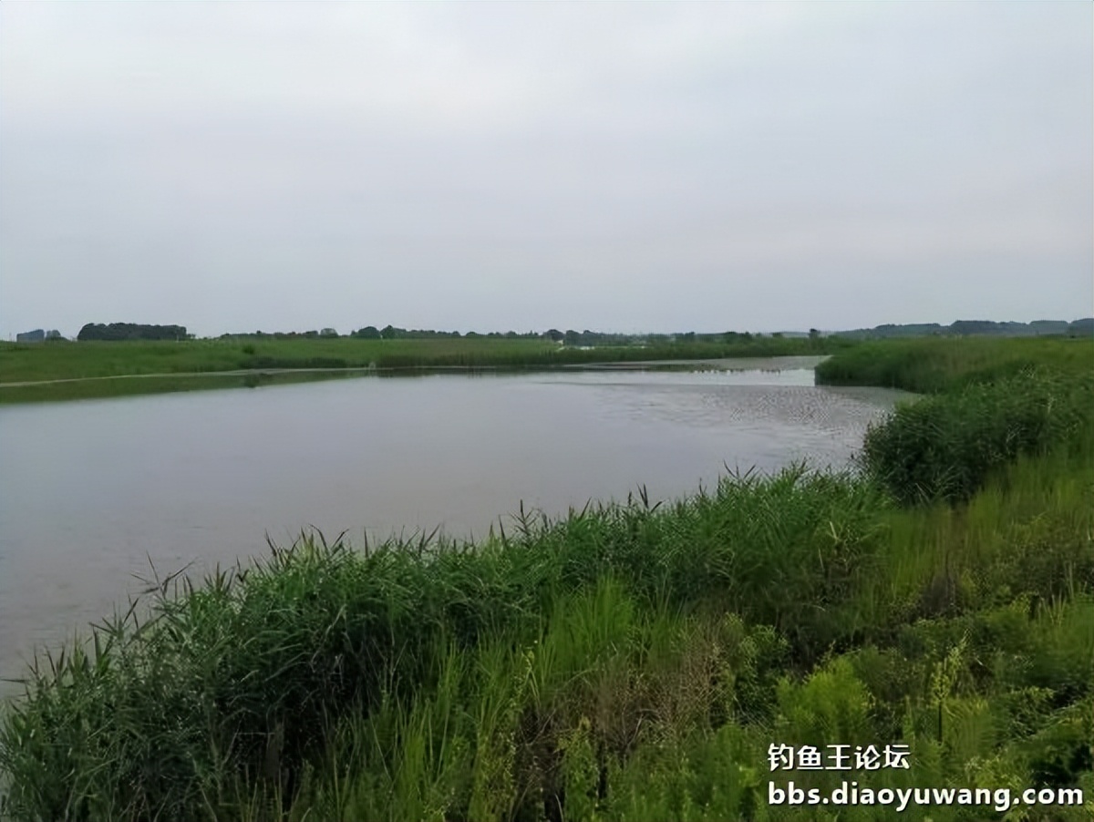 饵料完全包住钩,饵料完美状态