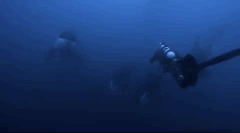 豆瓣排名第五摄人心魄的好片,豆瓣8.6分今年看过最良心的电影