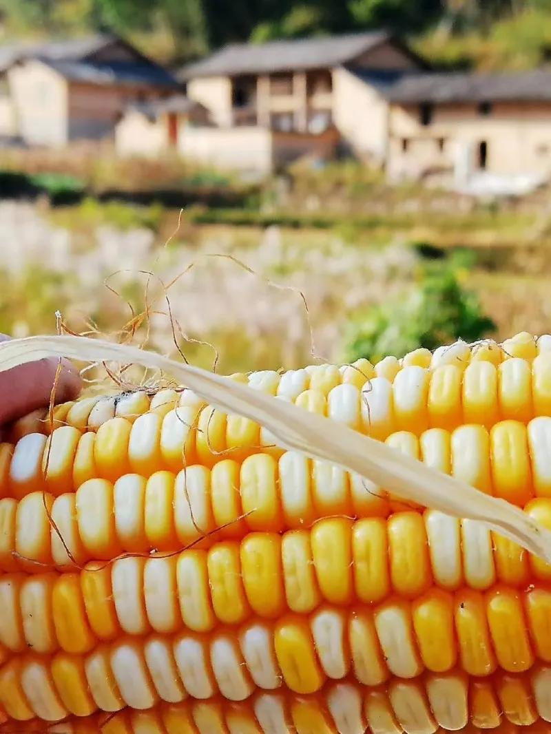 安庆有古镇古村吗,安庆十大古镇名单