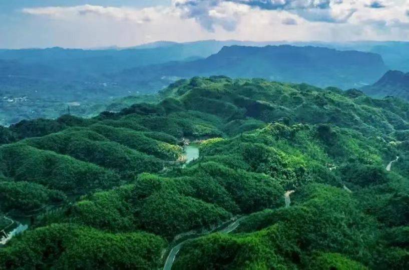 四川沐川竹海旅游攻略,走进沐川竹海