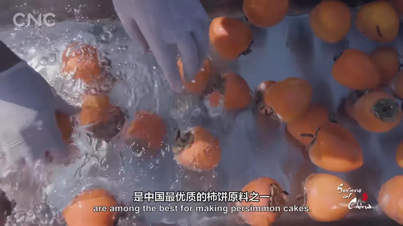 霜降有好柿，橘红色“灯笼”的变形记