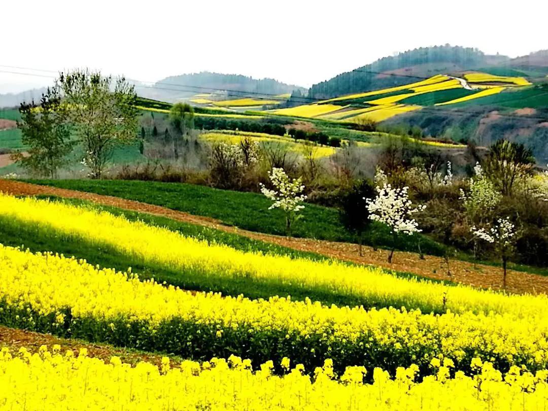 手拍世界（手机摄影平台）-第888期获奖作者创作体会（第889期）