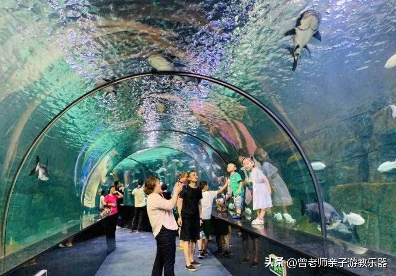 西安2023旅游攻略,2023年西安必去景点