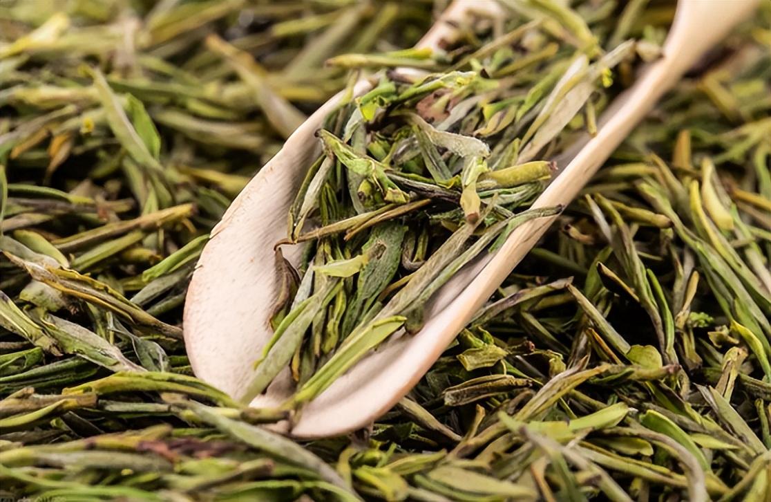 大航海时代败血症,大航海时代海员得什么病