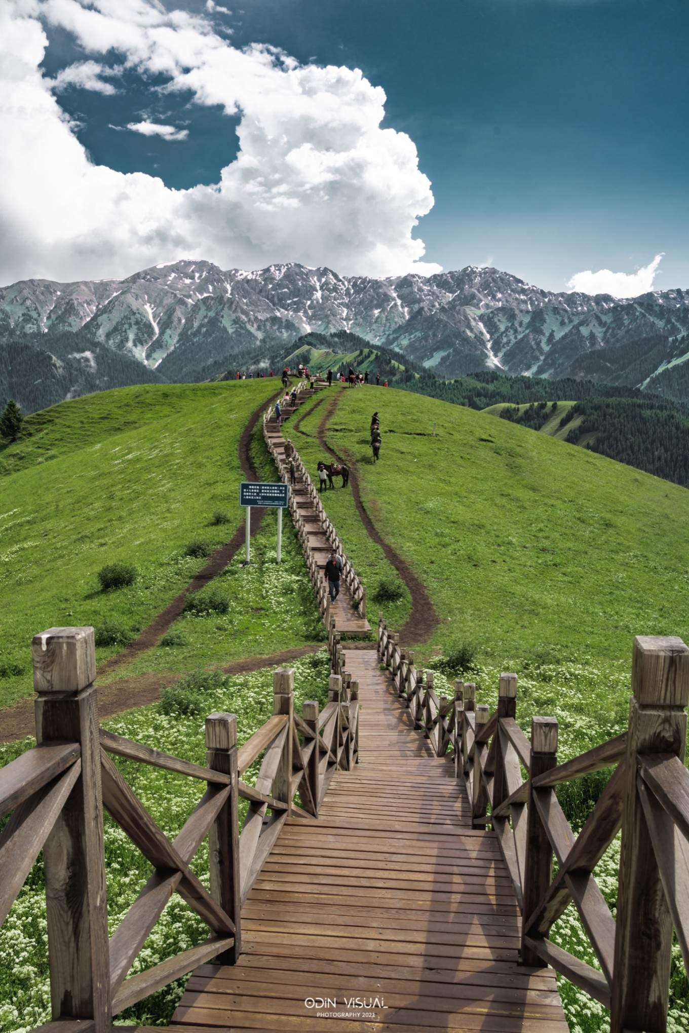 新疆伊犁之美,走了一圈才发现世界万物远不及你