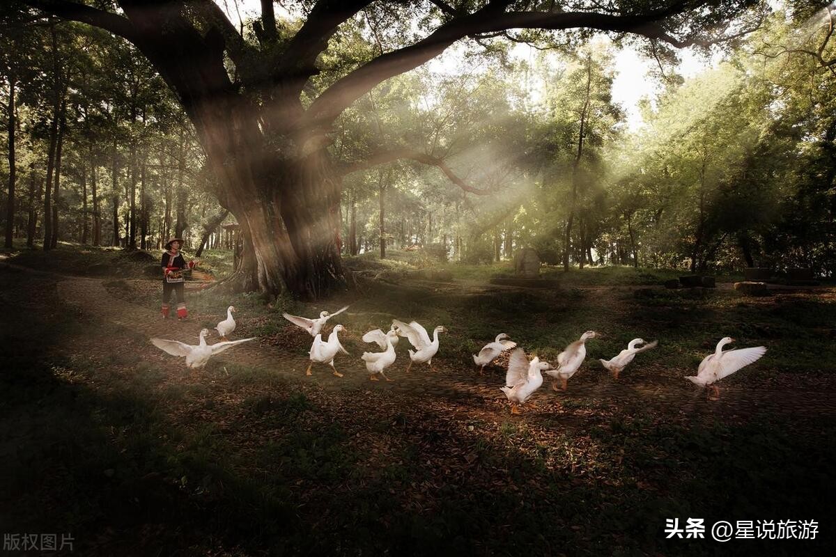 欧洲最美的海滨城市,海滨城市哪里最美