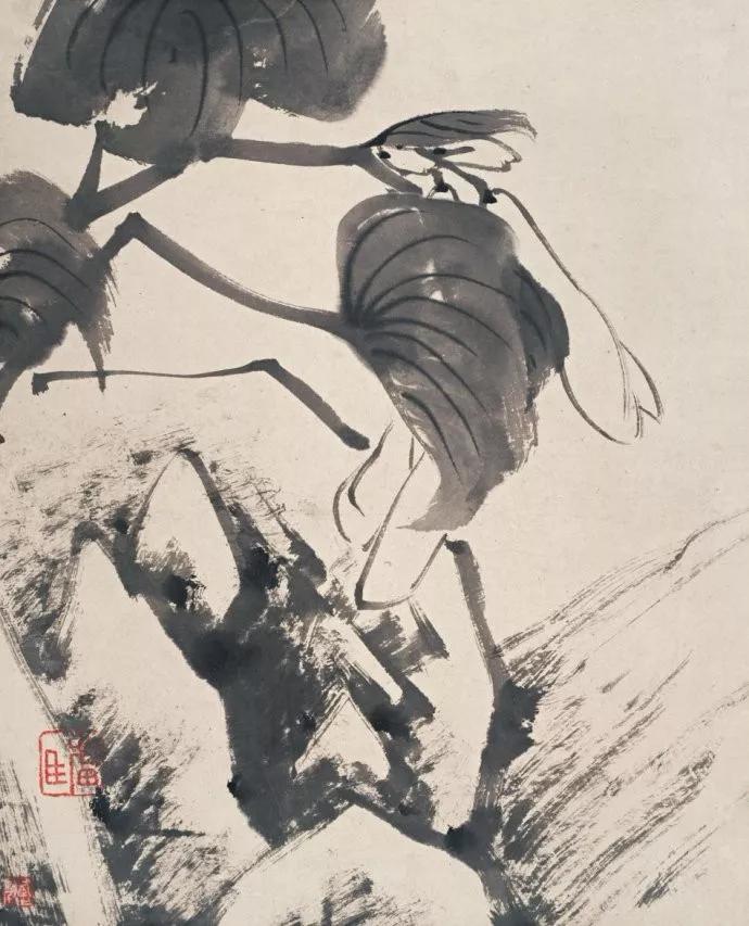 清代九大名家花鸟册页欣赏,清朝九大名家花鸟山水图