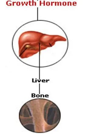 辟谣：究竟什么是特发性矮小？