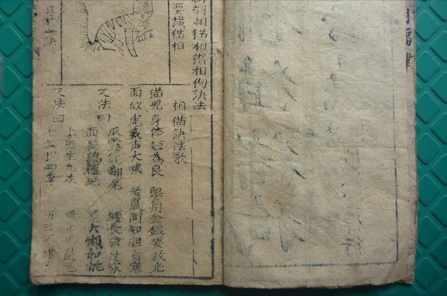 老祖宗教你选猫,老祖宗留下的风水诀100条