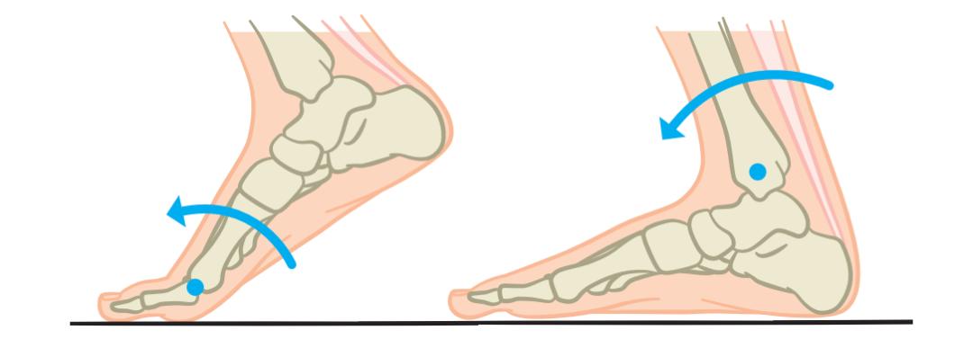 锻炼脚底跟腱的方法有哪些,足部跟腱拉伸的好处