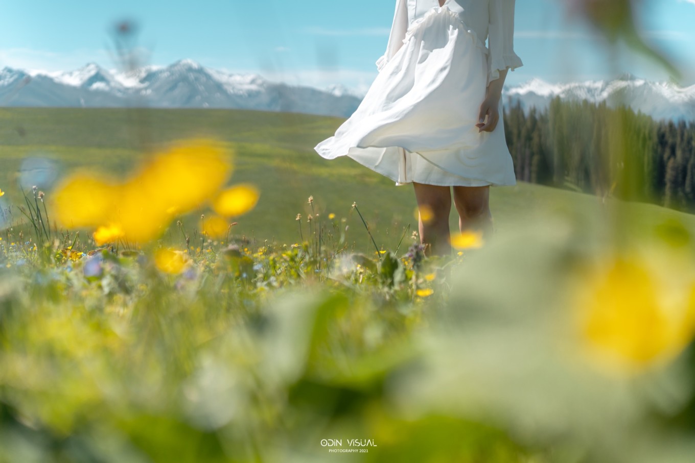 去新疆发现伊犁的美,世界之美尽在伊犁