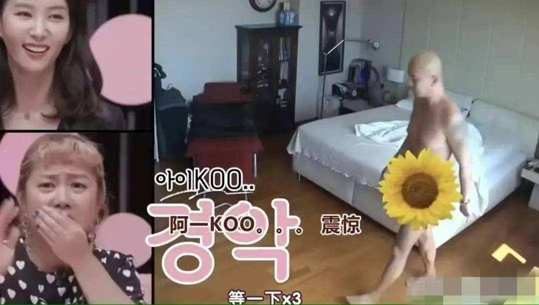 大s具俊晔同游,大s具俊晔同框小鸟依人