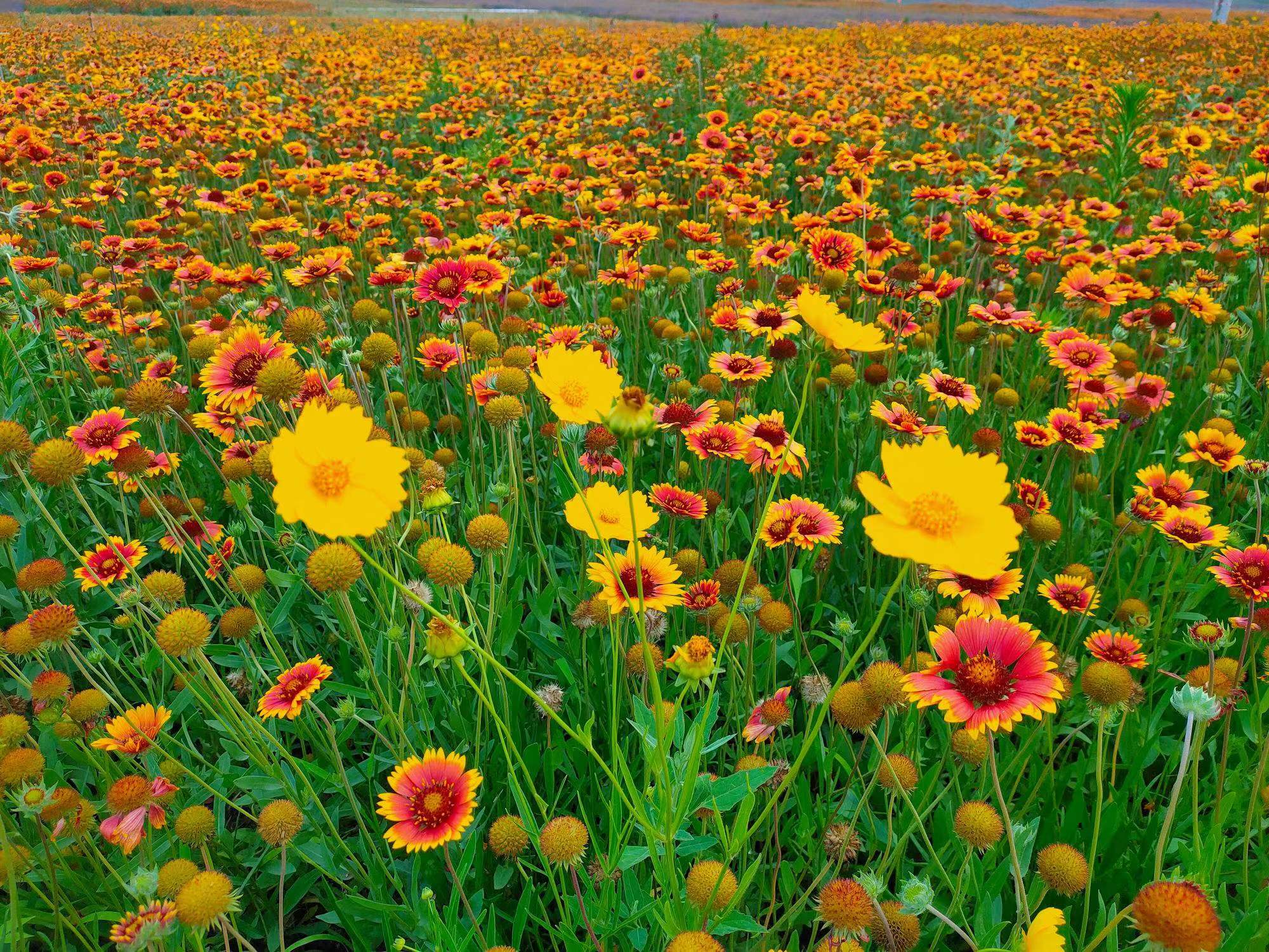 唐山重点暖企惠民政策,唐山惠民中心