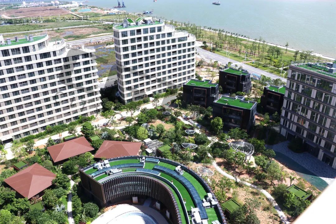 南平人造草坪分类,学习人造草坪的基础知识