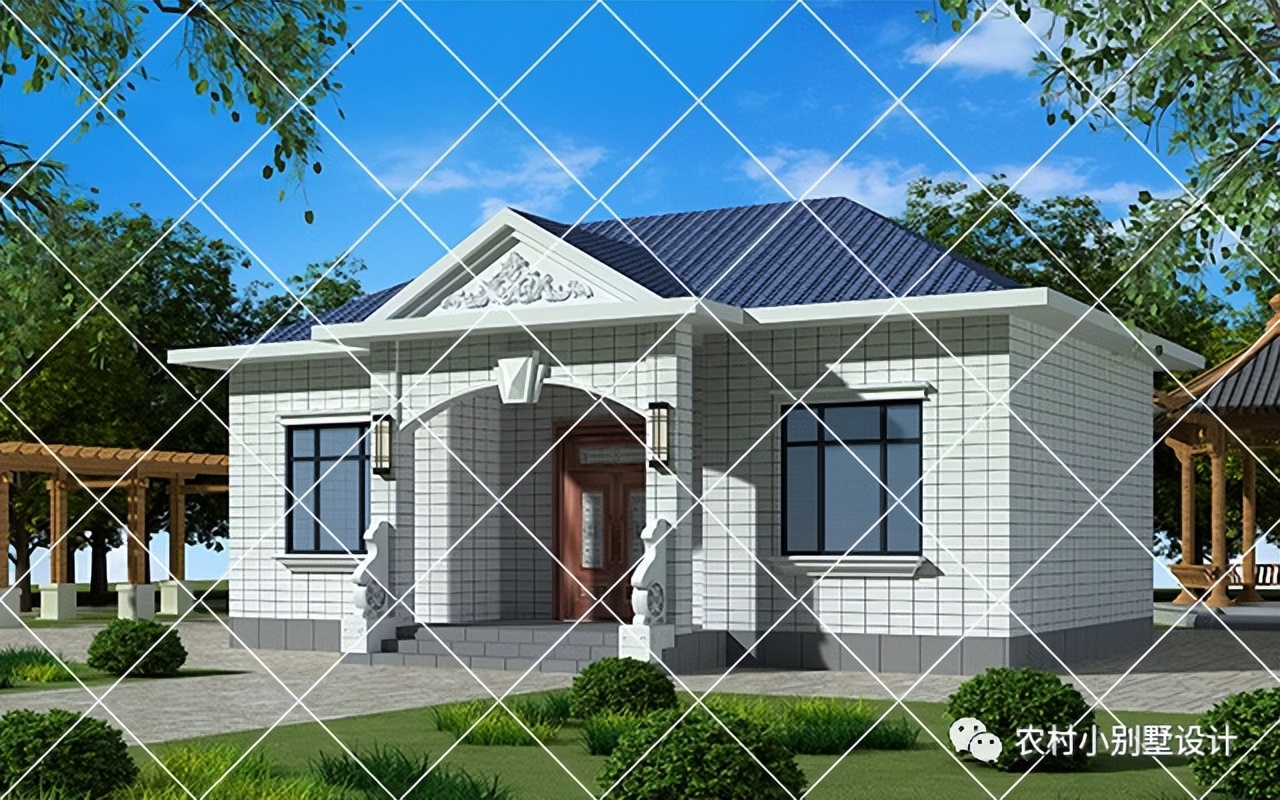 一层半层小别墅新款农村自建房,农村自建房一层别墅设计最新款