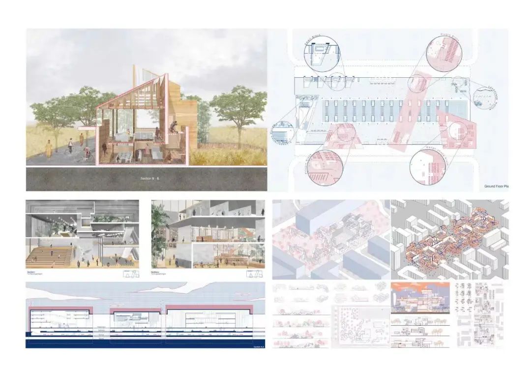 2024霍普杯解读,2016霍普杯解析