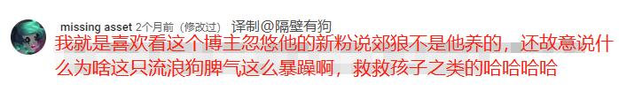 笑死！狗子天天往家里带狼，大叔从害怕到麻木，到最后来者是客
