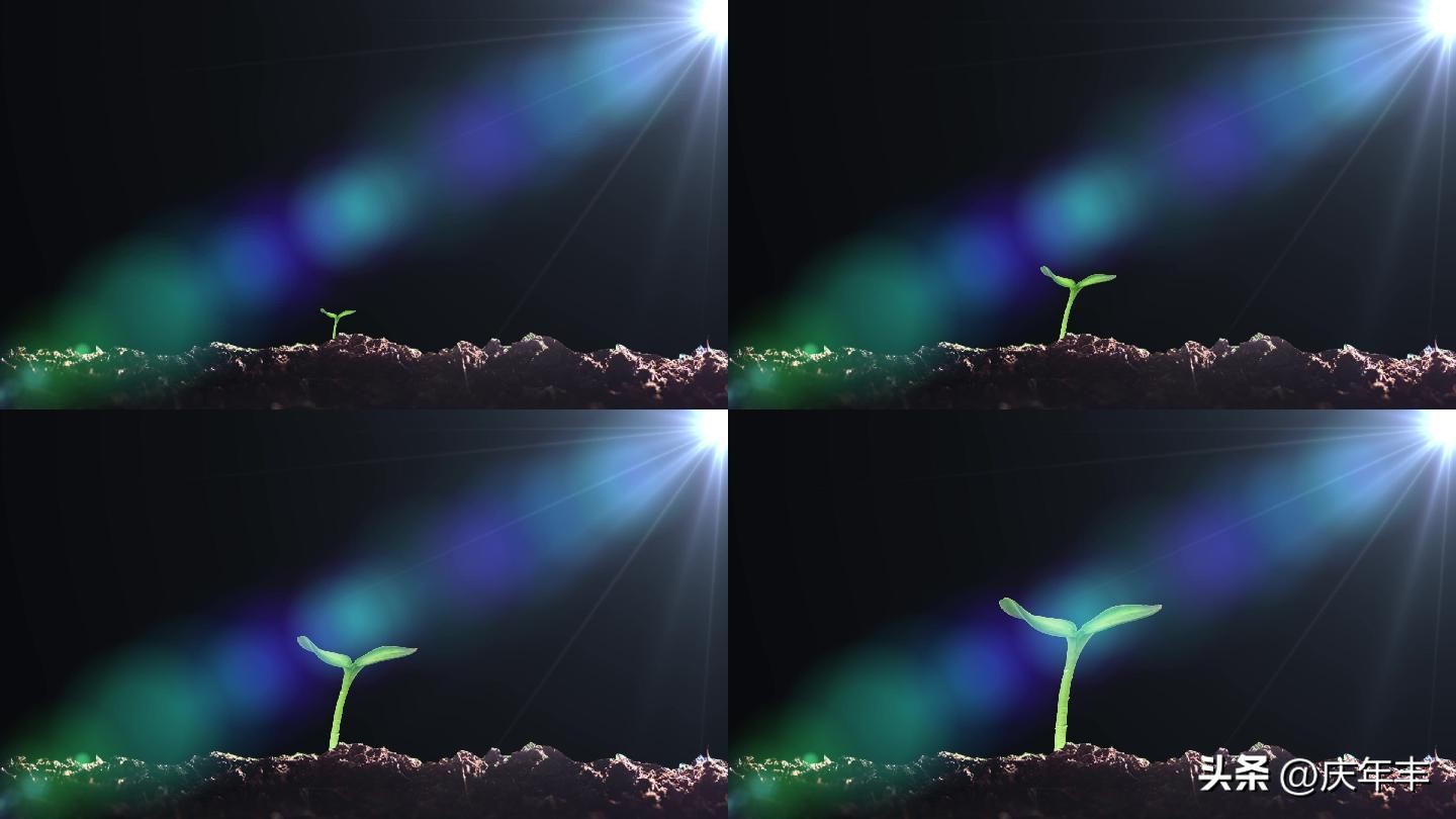 播种时覆土厚度一定要适宜为什么,播种时对土壤的要求