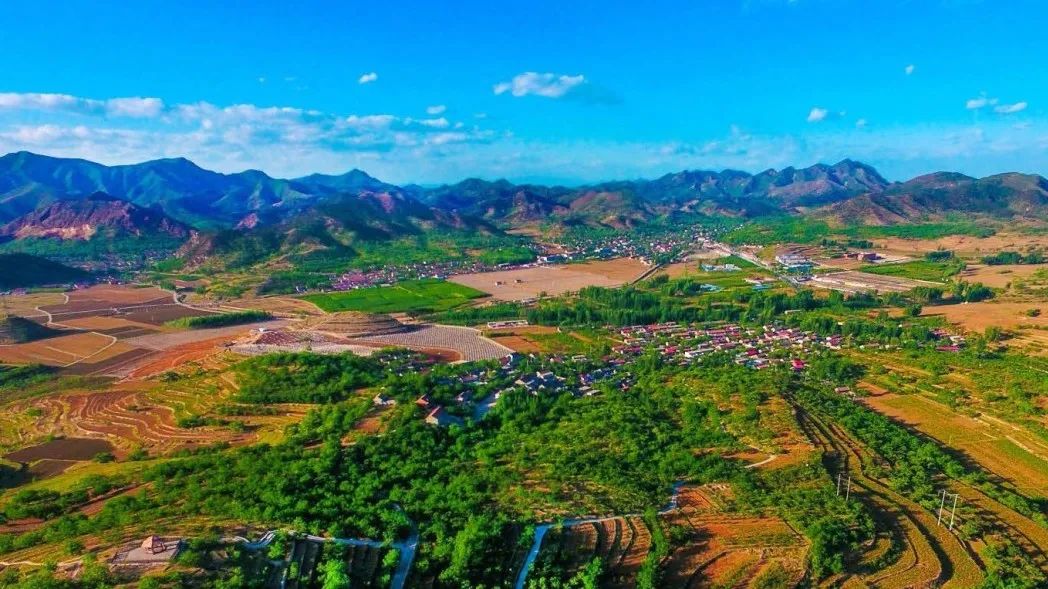 乡村振兴100讲全集,100个经典乡村振兴案例