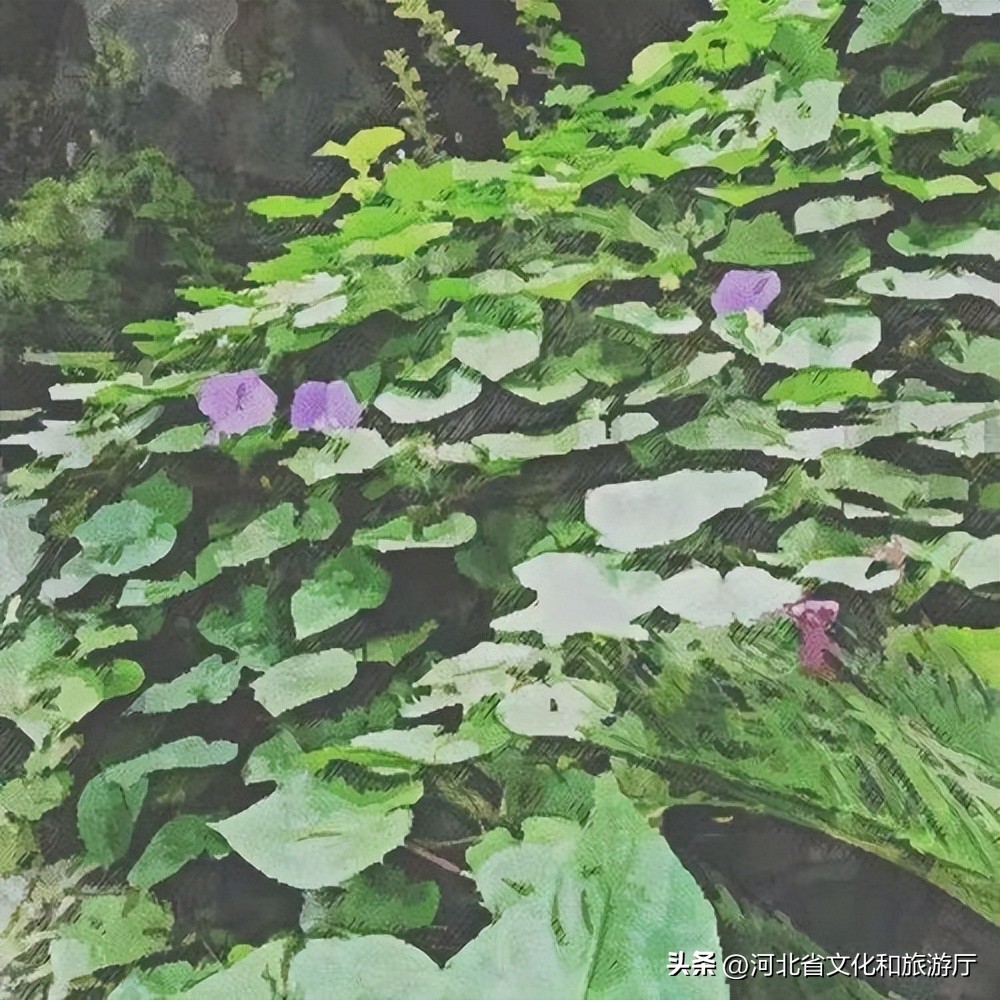 谷雨润百谷万物皆可期,有关谷雨的精选诗句大全