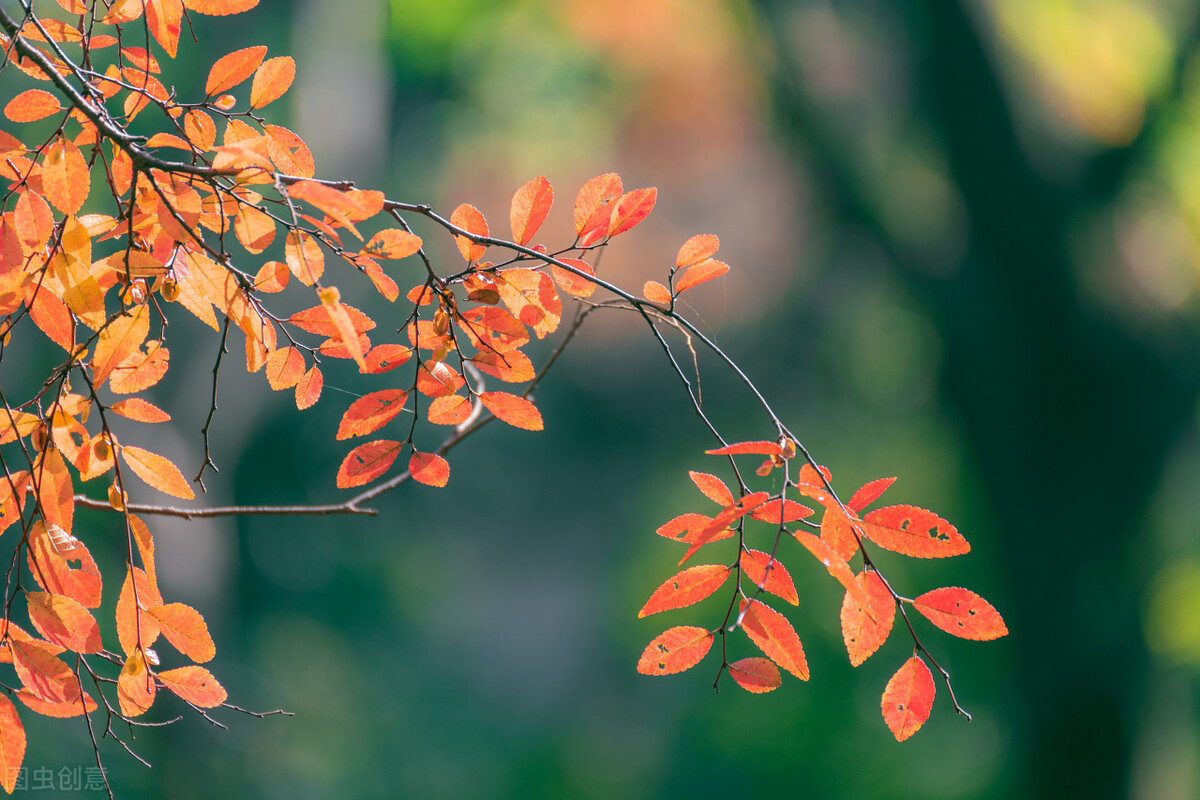 余生以适合自己的方式好好活下去,余生很贵选择自己舒服的方式生活