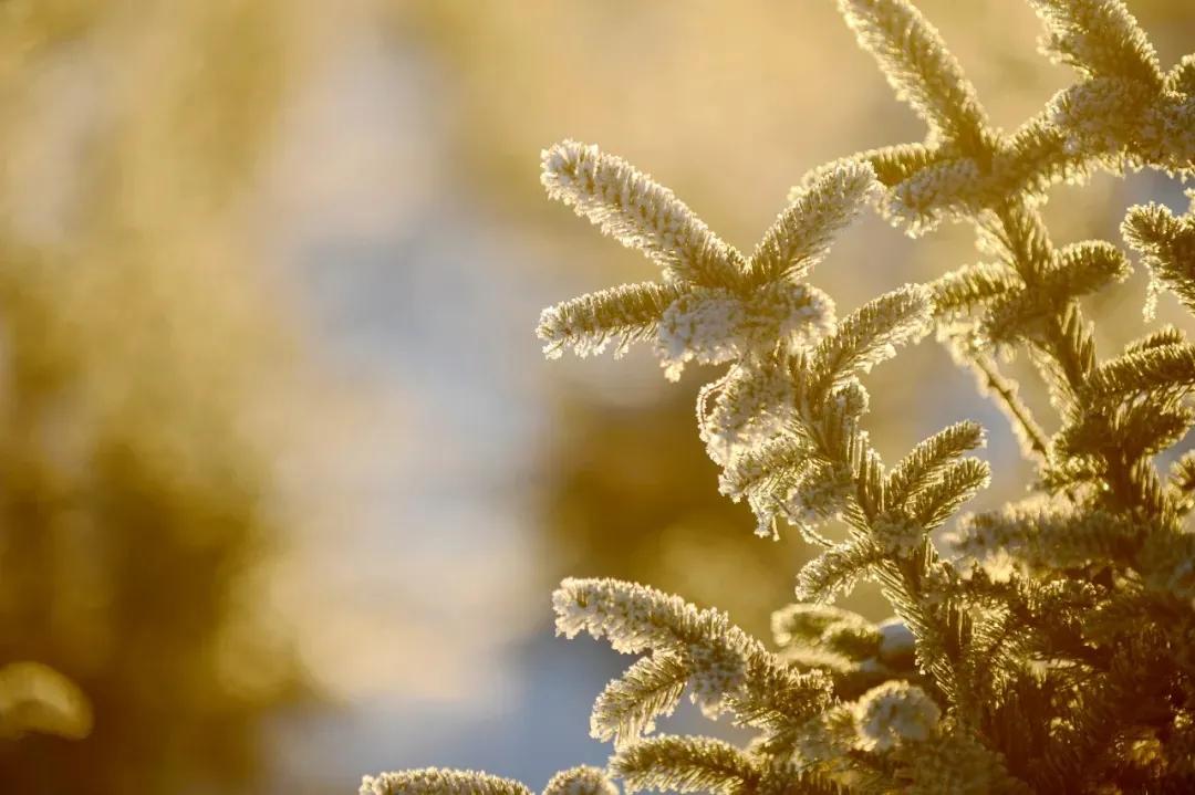 牙科诊所收费标准,牙科诊所利润